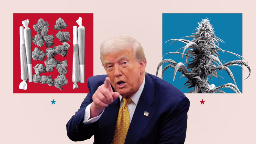 202508009-trump-campaign-promise-marijuana-final