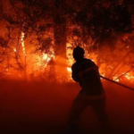 Europe wildfires