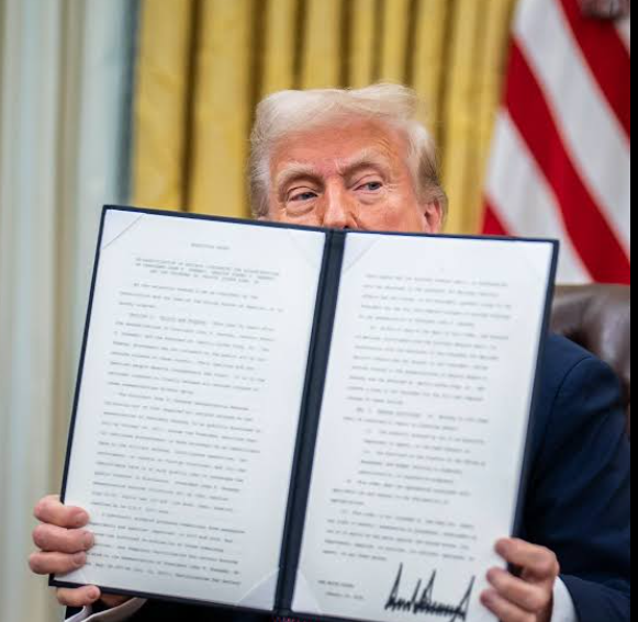 Trump declassified documents
