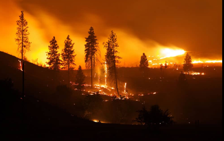 Washington wildfire